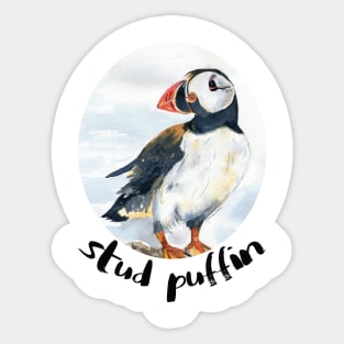 stud puffin Sticker